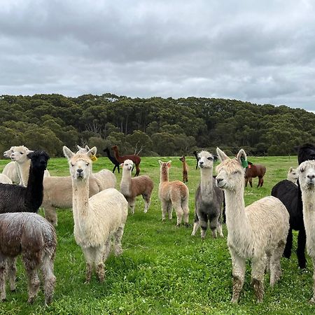 Twelve Apostles Motel & Country Retreat Princetown Bagian luar foto