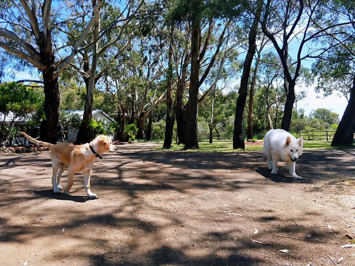 Twelve Apostles Motel & Country Retreat Princetown Bagian luar foto