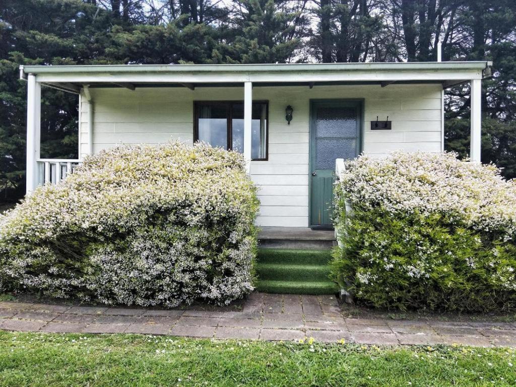 Twelve Apostles Motel & Country Retreat Princetown Bagian luar foto